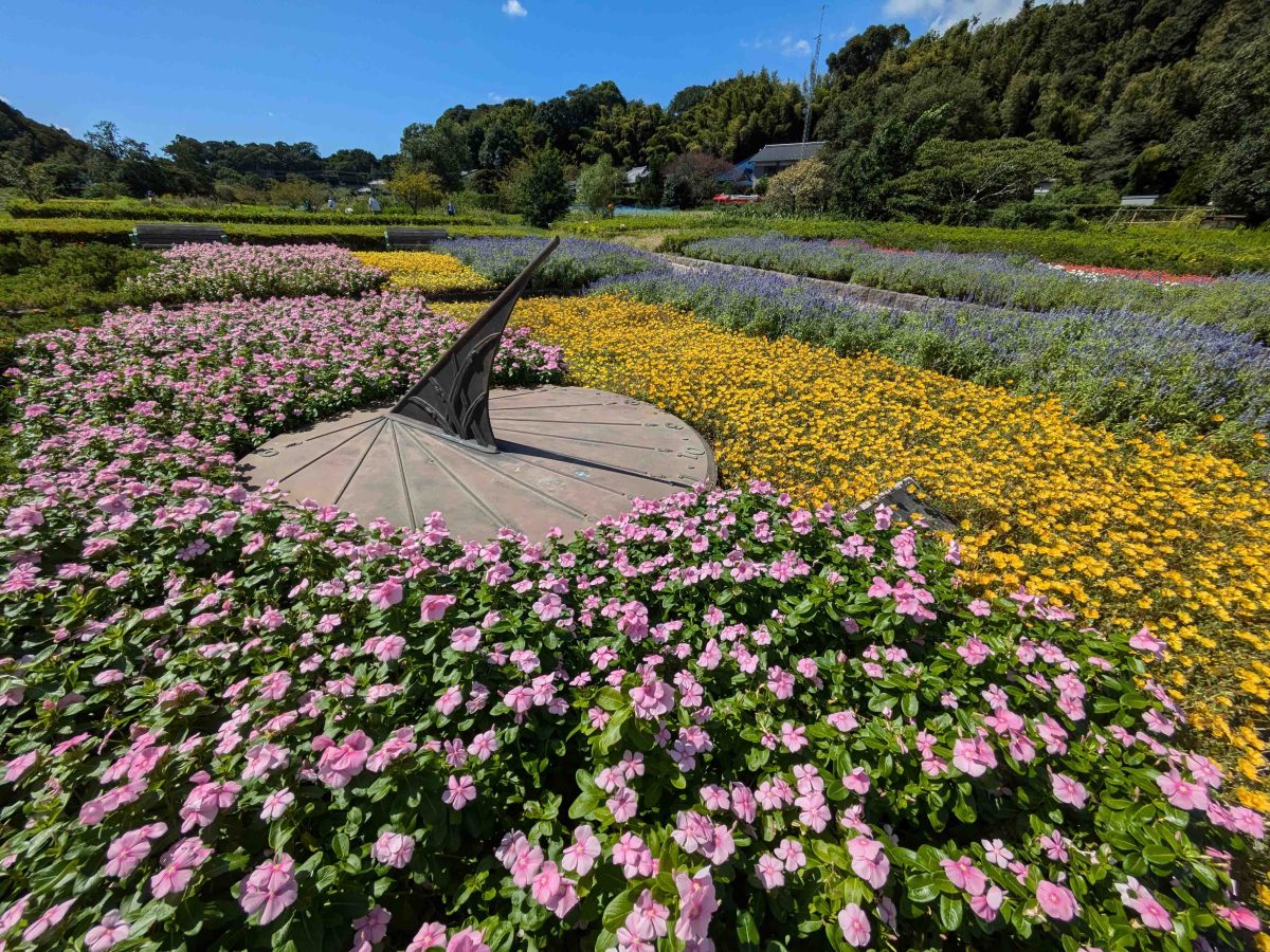 整った植栽の花壇が綺麗でした。