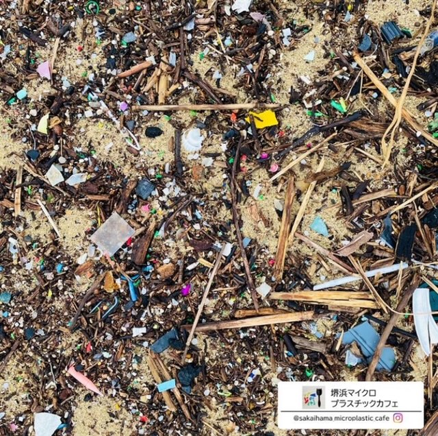 手でつまみ上げるのも困難な小ささのマイクロプラスチックがびっしり