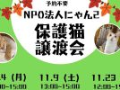 【松戸市】【流山市】【柏市】2024年11月のねこ情報～11/4(月),9(土),23(土)保護猫譲渡会 by NPO法人にゃん2