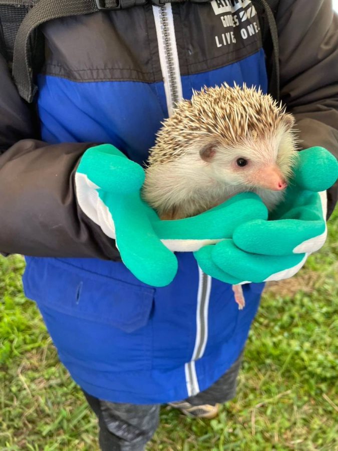 移動動物園（写真はいずれも過去開催時の様子。理大祭実行委員会提供。）