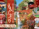 【箕面市】きらめく紅葉ライトアップに自然を楽しむイベントが満載！「明治の森箕面国定公園 もみじまつり2024」11月9日（土）～12月1日（日）開催