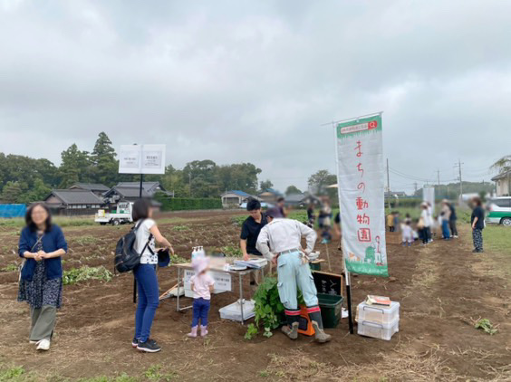 まちの動物園　芋掘り　餌やり　イベント