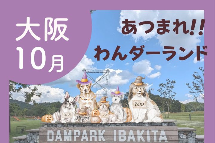 【豊中市・茨木市】わんちゃんと楽しむ「あつまれ！わんダーランド」10月13日（日）はダムパークいばきた、14日（祝・月）は服部緑地で開催！（教えたい／教えて）