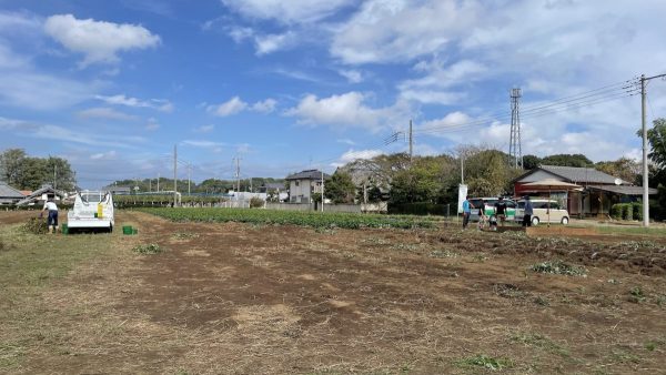 流山　芋掘り　畑