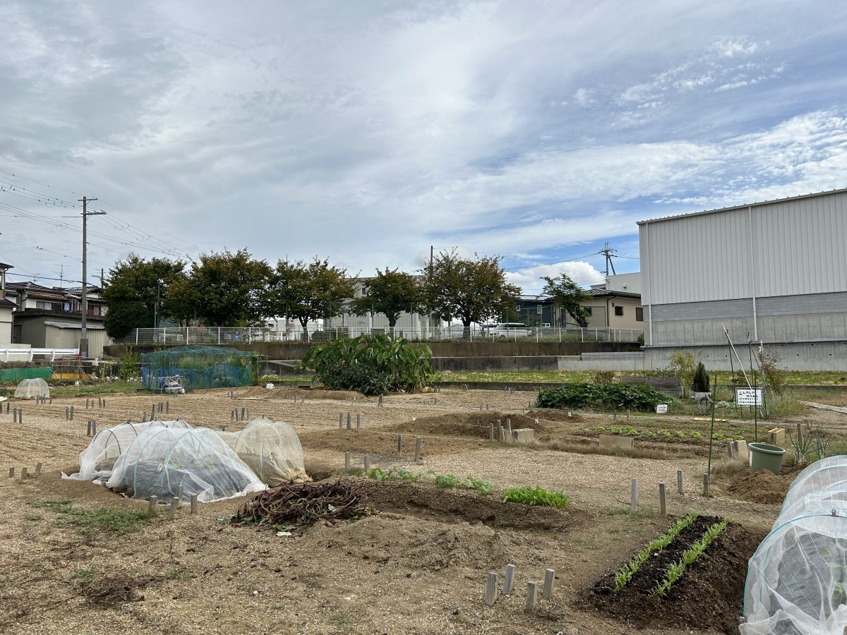 東八田の堺泉北ふれあい農園＋PLUS　土いじりいいな　野菜育ててみたい　