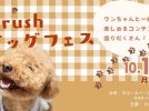 【柏市】ワンちゃん集まれ〜♩愛犬家に捧ぐ♡【DOGフェス】in Brushフェス 10/14(祝)開催！！