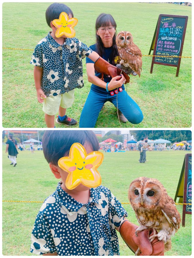 息子が選んだのはフクロウとのふれあい〜普段なかなかできない貴重な体験ができました〜