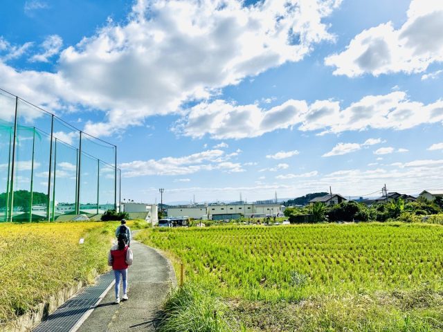 【茨木市】まなびおファームで「さつまいも掘り」体験！無農薬の野菜やフルーツを自然とともに育ててみませんか？