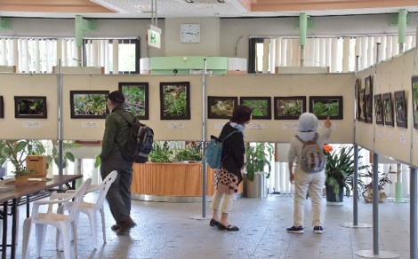 【柏市】10月25日(金)～29日(火)！写真展「こんな素敵な野草たち」が開催されます！！