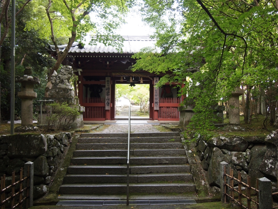 【高槻市】紅葉の名所！魅力あふれる「神峯山寺（かぶさんじ）」へ行こう！