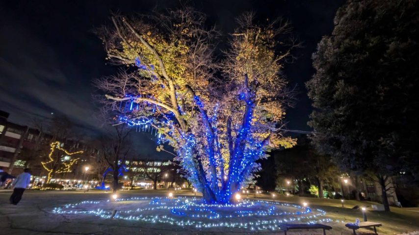 【流山市】【野田市】12/1(日)～25(水) 利根運河周辺のクリスマスイルミネーション