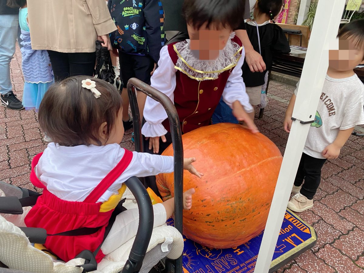 大きなカボチャの重さ当てクイズもやってたよ〜