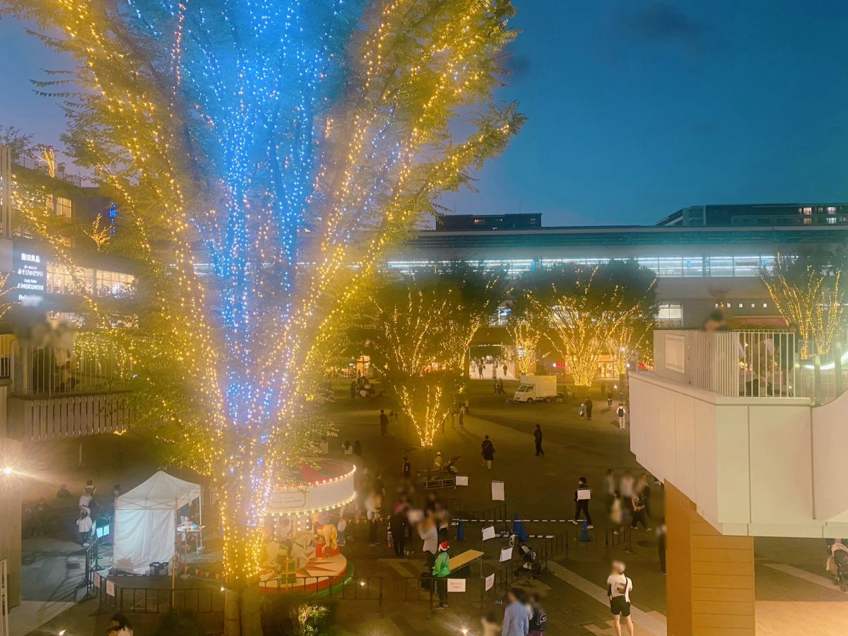 今年もこの景色を楽しみにしていました⭐︎