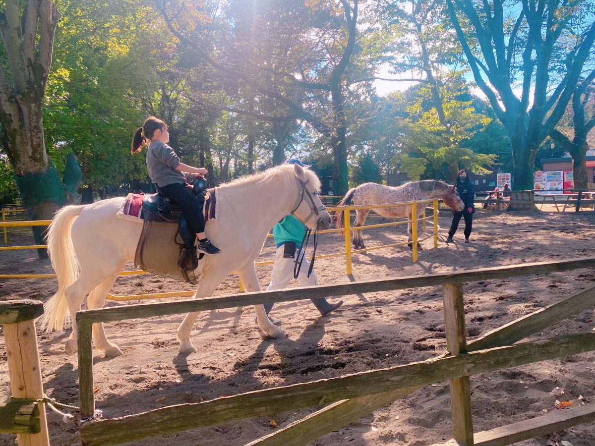 撮影スポットもあるので、乗馬中のお子さまの写真もバッチリ撮れますよー