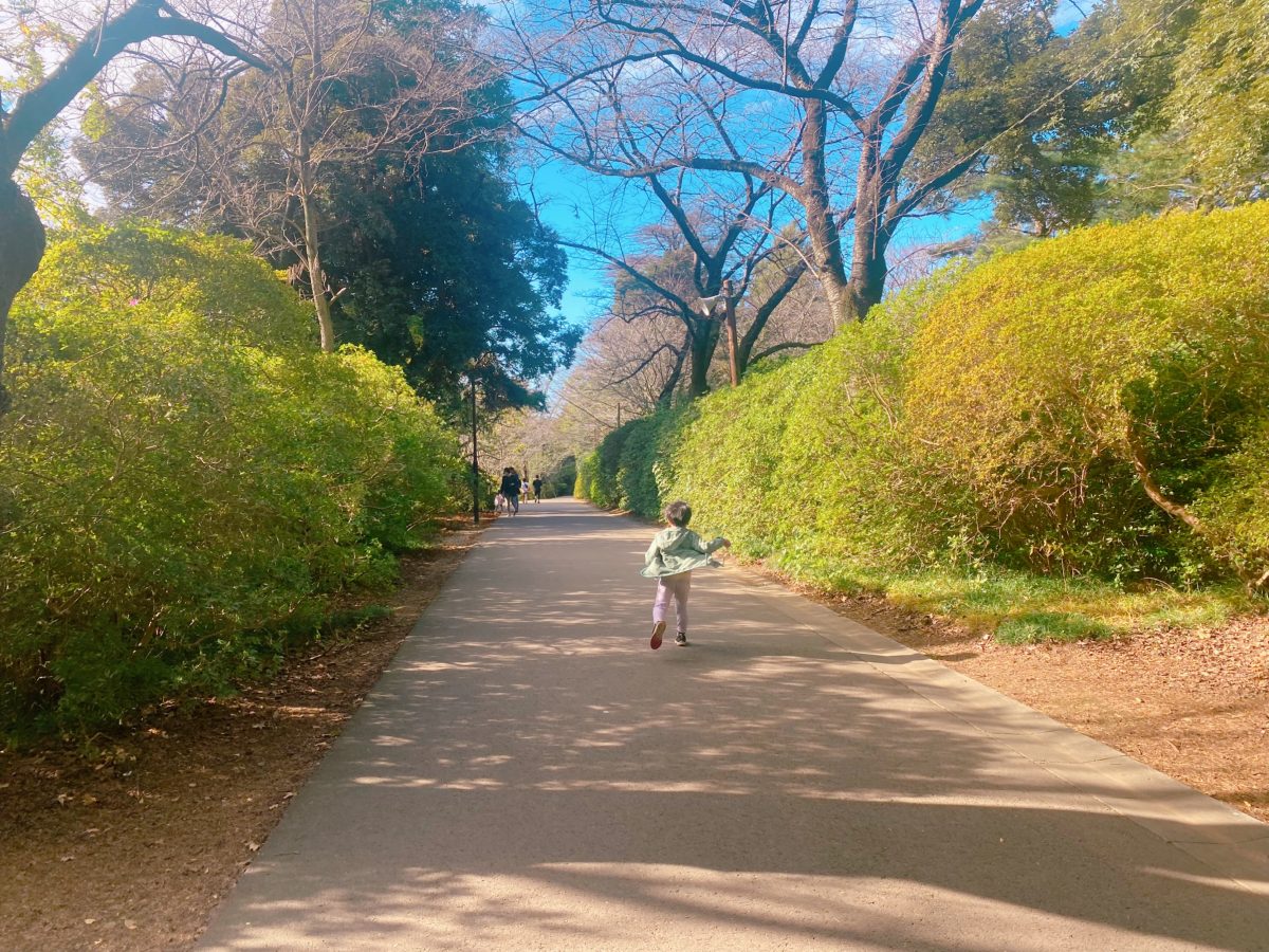 わくわく♩が止まらない走り出す〜　思いっきり走れるのも魅力の1つ！