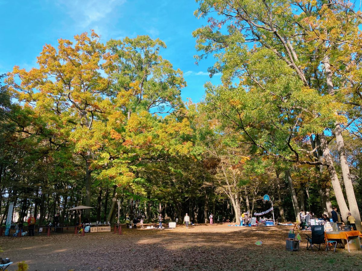 当日は日差しがキラキラと森に降り注ぐ青空(^^)最高のお天気に恵まれました