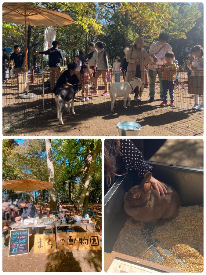 【まちの動物園】今回も可愛い『ヤギ』『うさぎ』『モルモット』が森の中に出張してくれました(*^^*)餌やり体験や抱っこしてチェキ撮影などたくさんの子ども達が動物とのふれあいを楽しんでいました♡