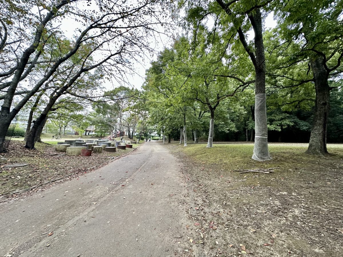 庭代公園の緑道沿い