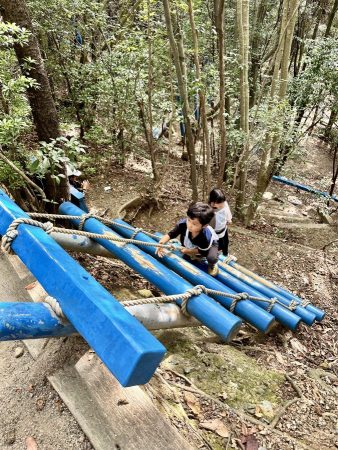 ハシゴ登る