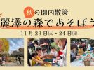 【柏市】2024年11月23日（土・祝）、24日（日）「2024秋の園内散策　麗澤の森で遊ぼう！」開催！