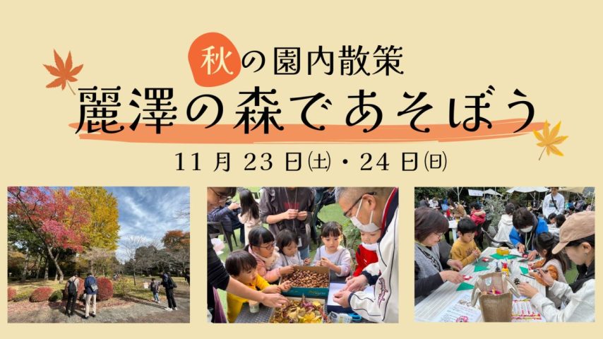 【柏市】2024年11月23日（土・祝）、24日（日）「2024秋の園内散策　麗澤の森で遊ぼう！」開催！