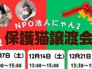 【流山市】【柏市】2024年12月のねこ情報～12/7(土),14(土),21(土)保護猫譲渡会 by NPO法人にゃん2