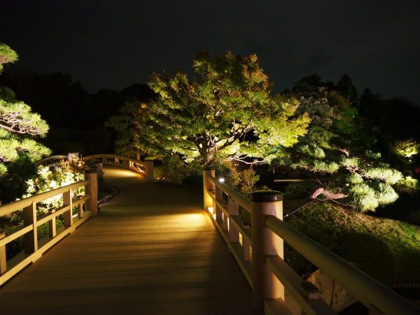 ガイド付きで庭園を巡るプラン_日本庭園