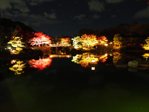 秋季夜間特別開園２紅葉の灯り_日本庭園