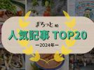 2024年にバズった記事は！？まちっと柏の人気記事TOP20