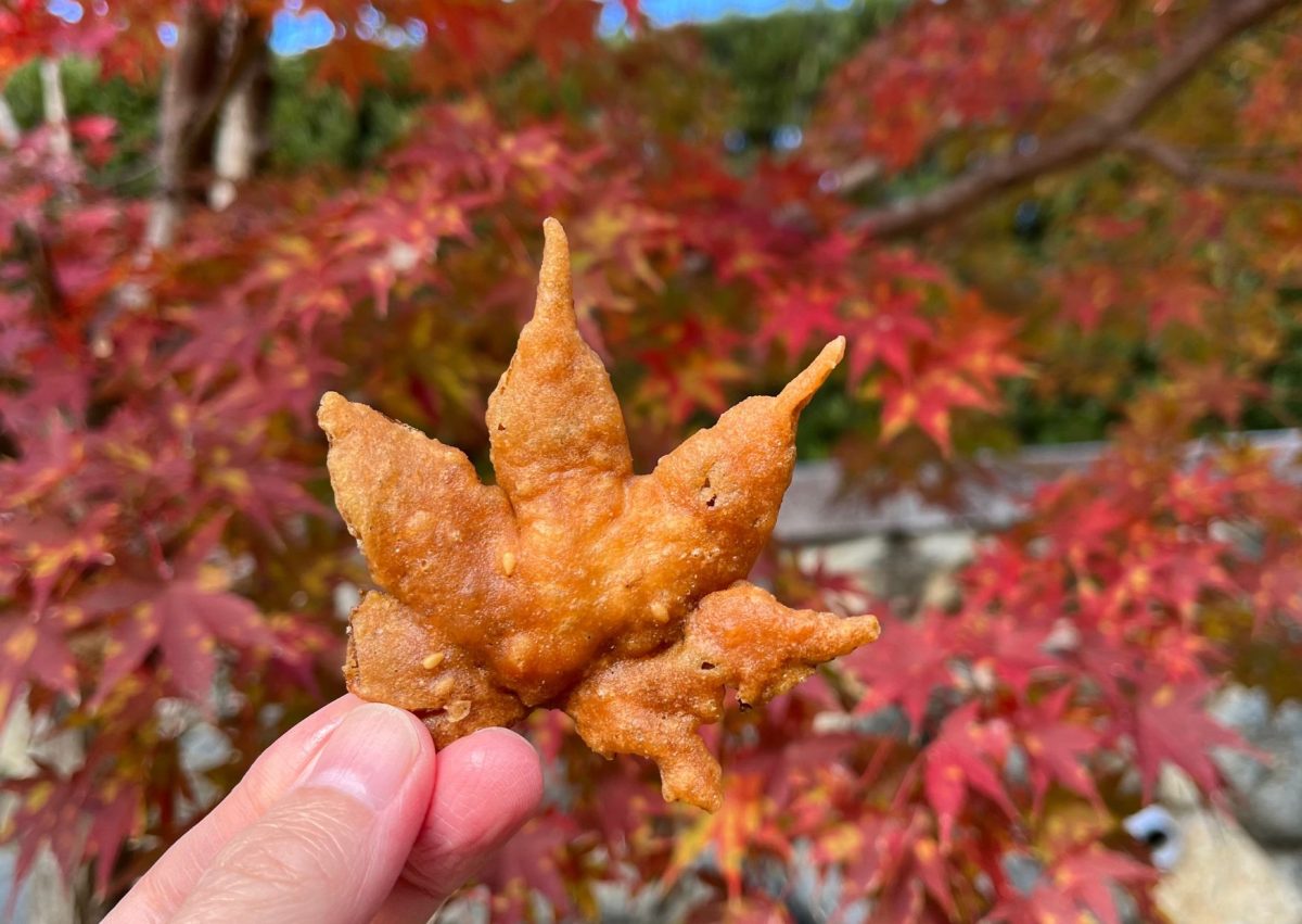 【箕面市】箕面滝道で紅葉と「もみじの天ぷら」を楽しもう