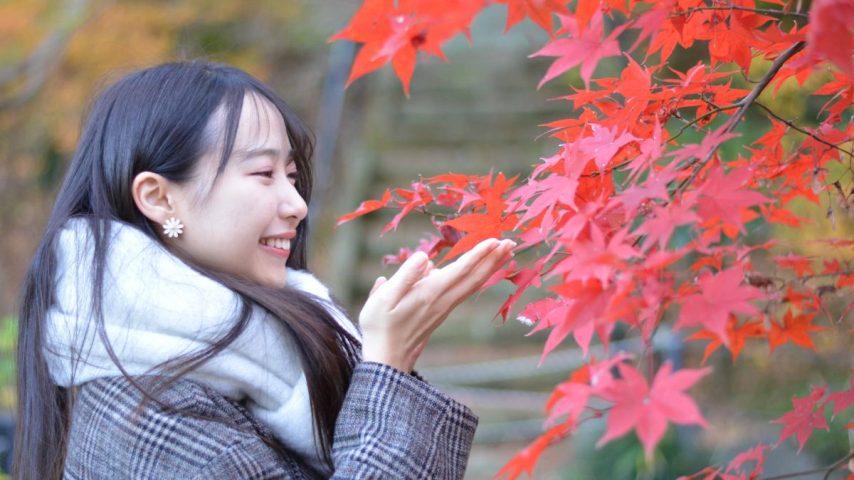 【松戸市】東葛髄一の紅葉の名所、本土寺～写真映えスポットを探して～