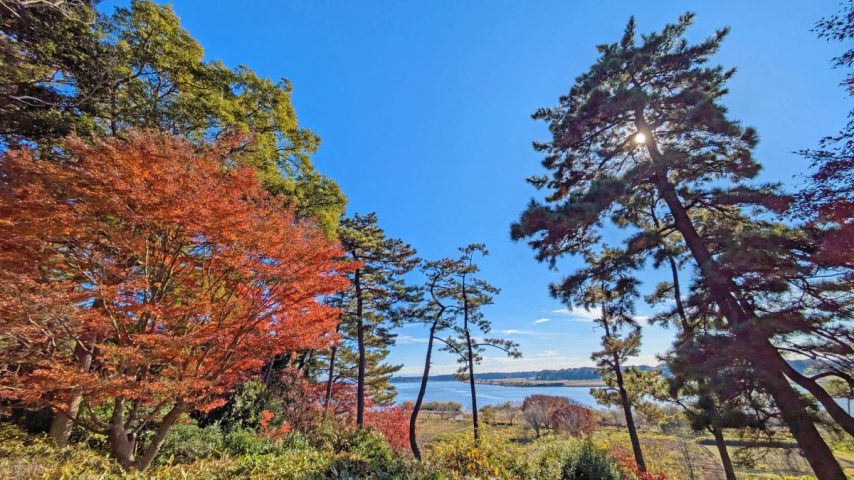 【我孫子市】コカリナの音色が響く錦秋の庭園、日立アカデミー我孫子キャンパス 庭園公開に行ってきました！