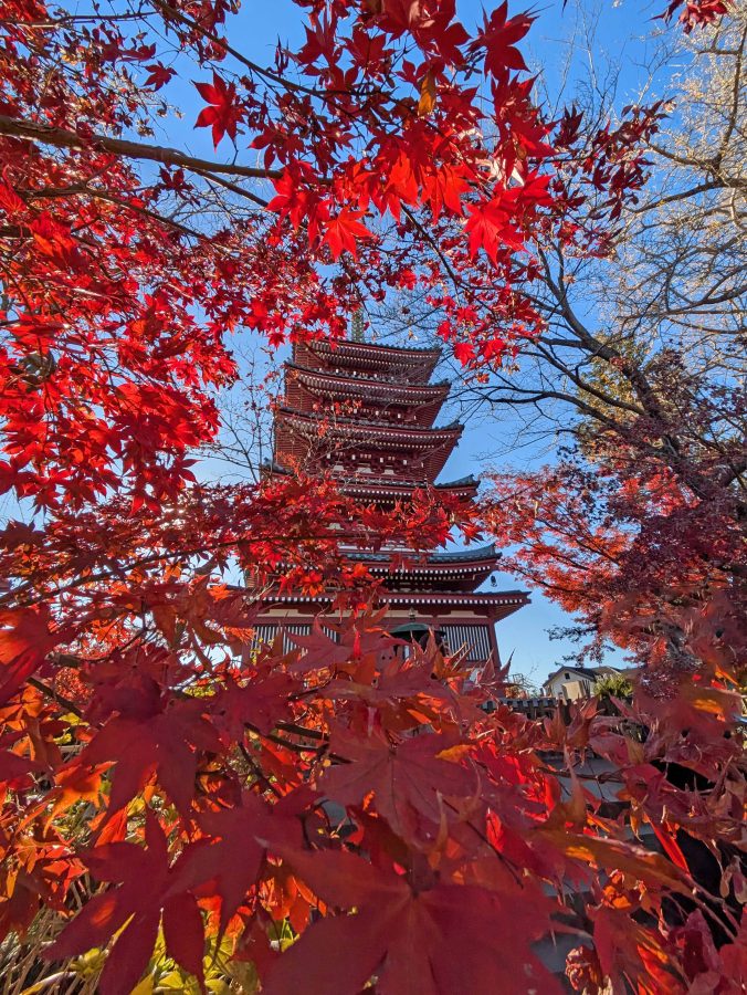 こちらは風景的な写真をフレーム構図を意識して撮影した五重塔。