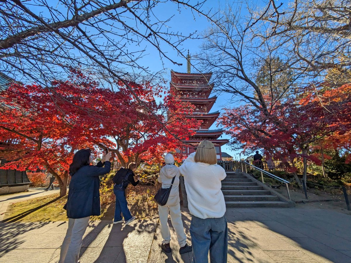 五重塔の前の紅葉はこんな感じで撮影者多数。