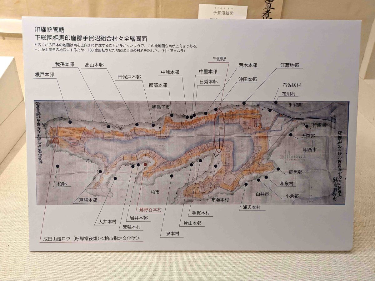 手賀沼絵図の解説