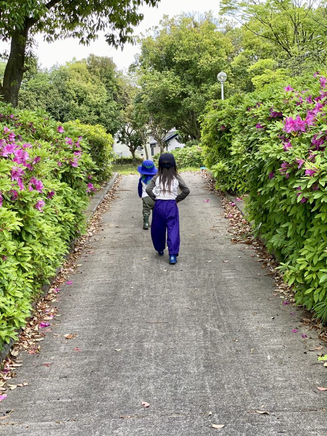 思い出〜銘板から園内に続く坂に咲くツツジがキレイ