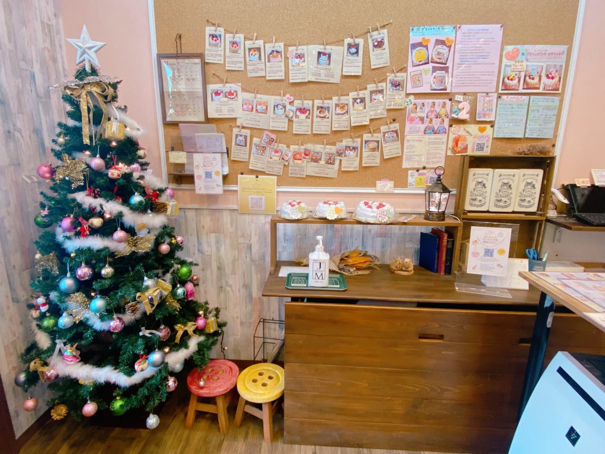 店内はクリスマスムードに溢れていました⭐︎〜季節やイベントに併せてディスプレイが変わるので親子で楽しみの1つにもなっています(^ ^)