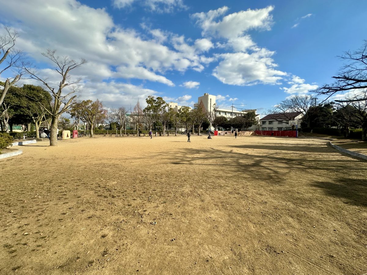 公園の大きな広場から