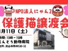 【流山市】【松戸市】【柏市】2025年1月のねこ情報～1/11(土),18(土),25(土)保護猫譲渡会 by NPO法人にゃん2