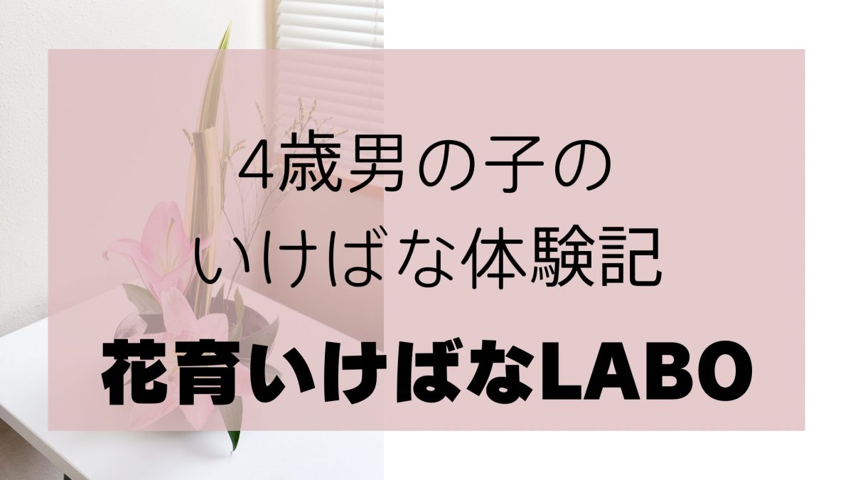 【流山市】4歳が夢中！いけばな教室で広がる成長と笑顔（花育いけばなLABO）