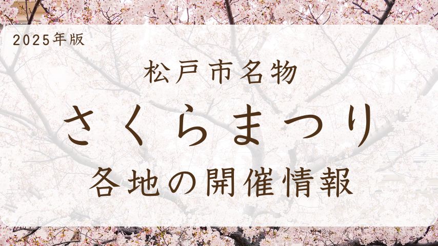 【松戸市】2025年の春を彩る「さくらまつり」特集4選♪（3/29、3/30）