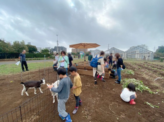 【お芋掘りコラボイベント】も開催されました〜大きなサツマイモを掘った後に餌やり体験ができたので子どもたちは大喜びでした〜