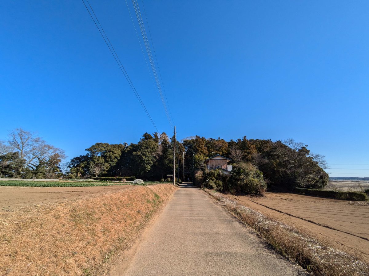 香取鳥見神社のある鎮守の森