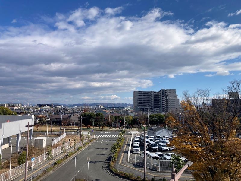 広い空の下に見えるのが、桜通り