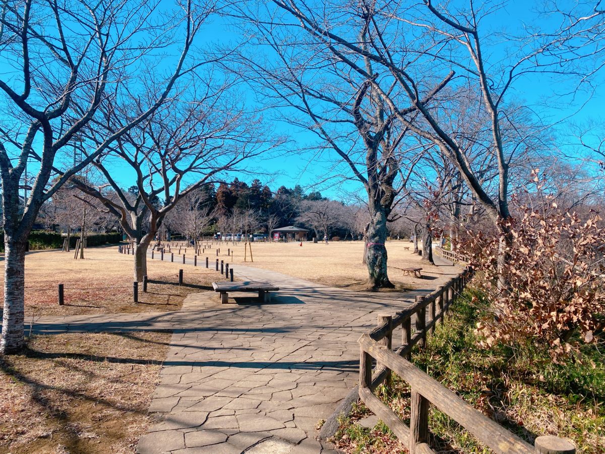 桜の時期が楽しみ〜♩屋台もたくさん出るので春が待ち遠しくなりました〜自然豊かで広大な敷地が魅力的な〝あけぼの山農業公園〟たくさん遊んで楽しかった〜子連れお出かけおすすめスポットです(o^^o)〜