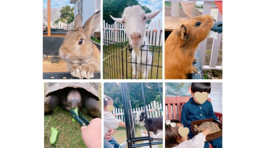 【流山市】2025年も可愛い動物とふれあおう！流山市が拠点の移動型動物園【まちの動物園】に遊びに行こう♩