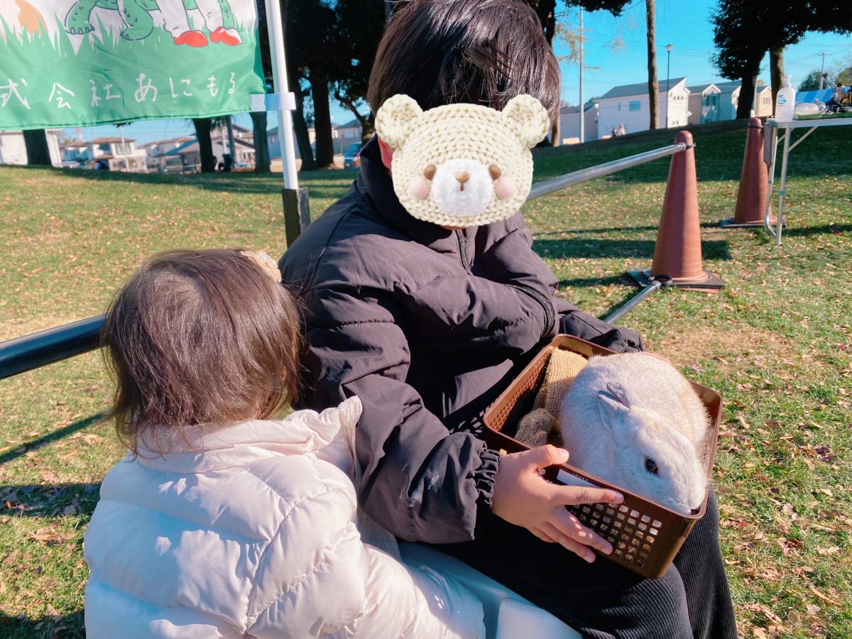 息子もお気に入りのウサギさんを抱っこ♡2024年はたくさんの動物たちとのふれあいを体験できました♩2025年も引き続き大好きな【まちの動物園】さん！親子で楽しく追いかけます♩【まちの動物園】さんチェックしてみてくださいね