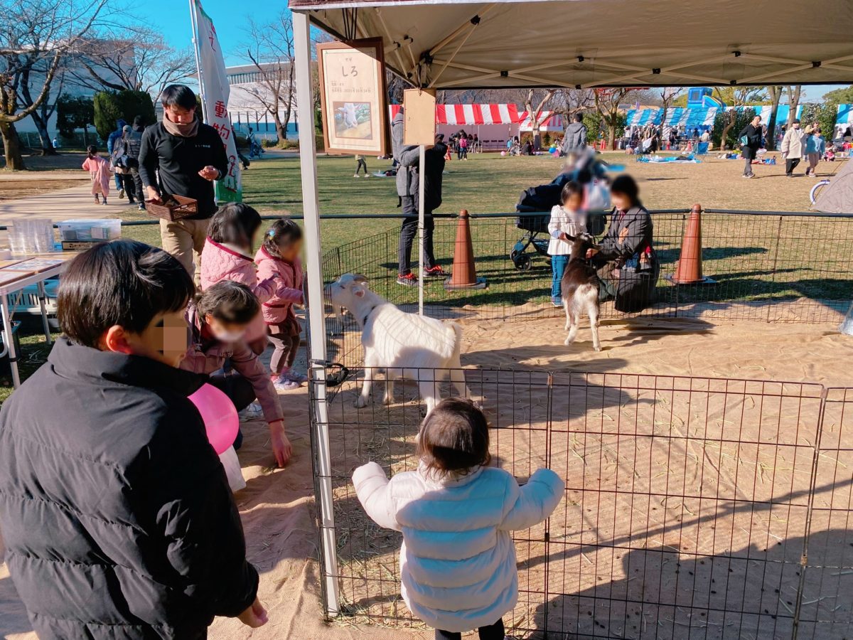 【流山市総合運動公園】でのイベントが昨年の我が家の動物ふれあい締めくくりになりました