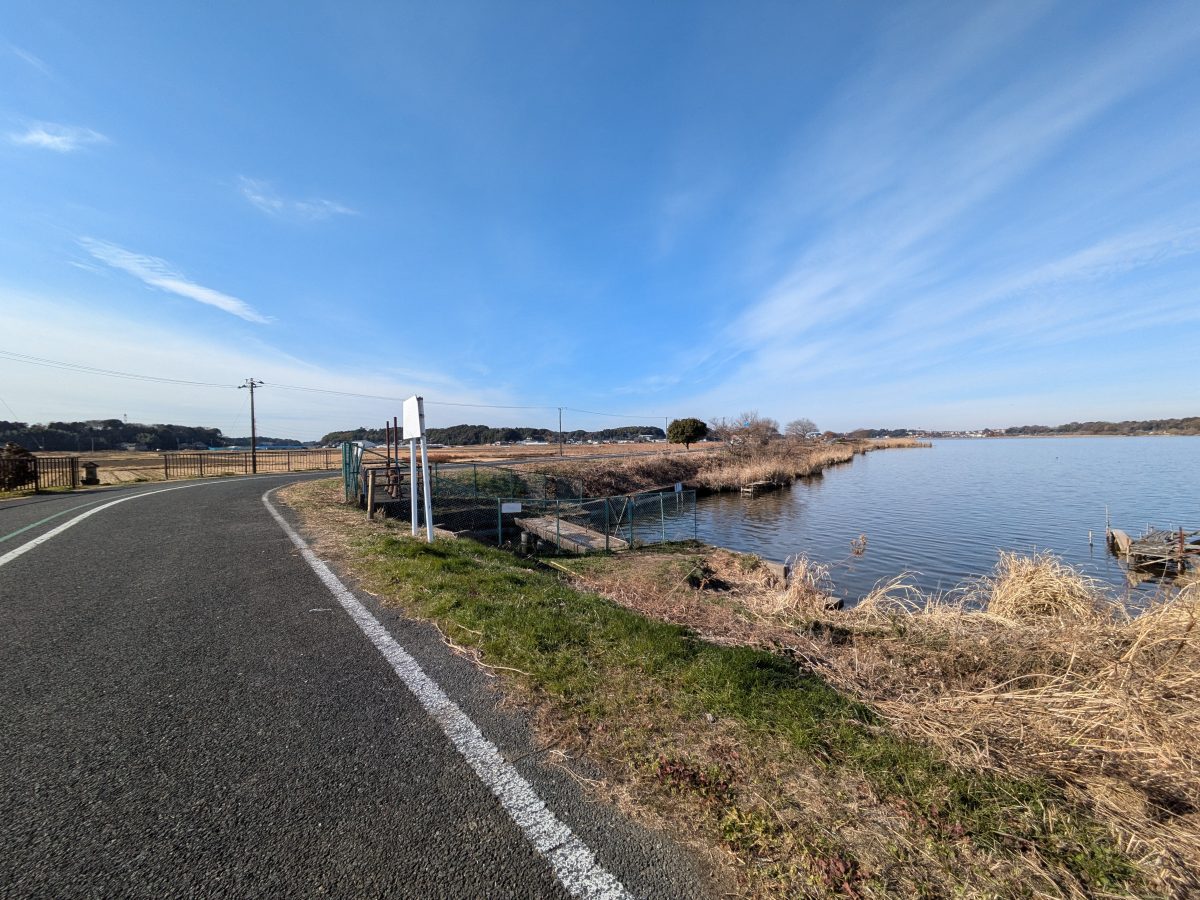 手賀沼の南端。写真左端に水神様。