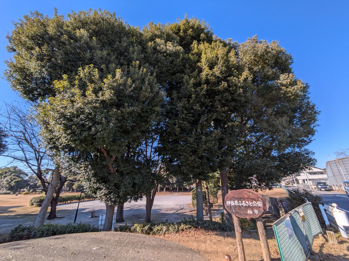 伊勢原ふるさと公園